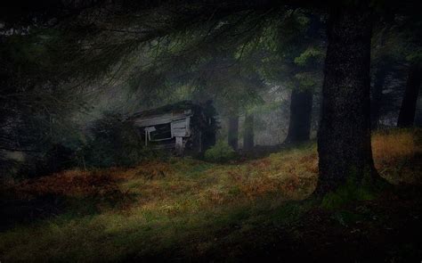 1230x768 Landscape Nature Hut Abandoned Ruins Dark Forest Grass Mist
