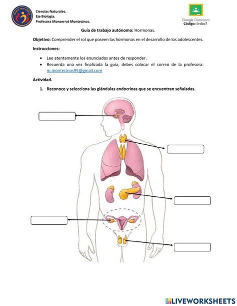 The Human Body And Its Organs Are Labeled In Spanish With Labels On
