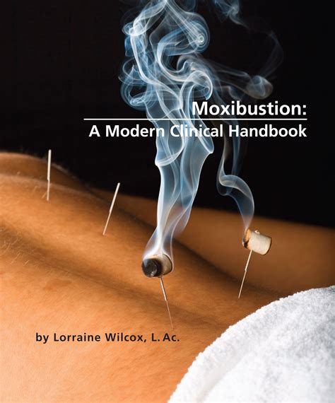 Moxibustion A Modern Clinical Handbook Blue Poppy Enterprises