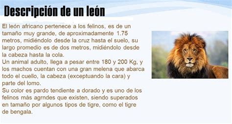 Top 58 Imagen Descripción De Los Leones Abzlocalmx