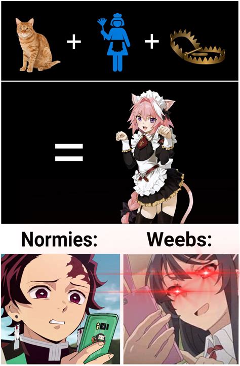 It Seems Ive Fallen For This Bare Trap Anime Memes Otaku Dank Anime
