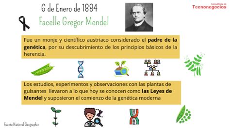 Actualizar Imagen Mendel Padre De La Genetica Abzlocal Mx