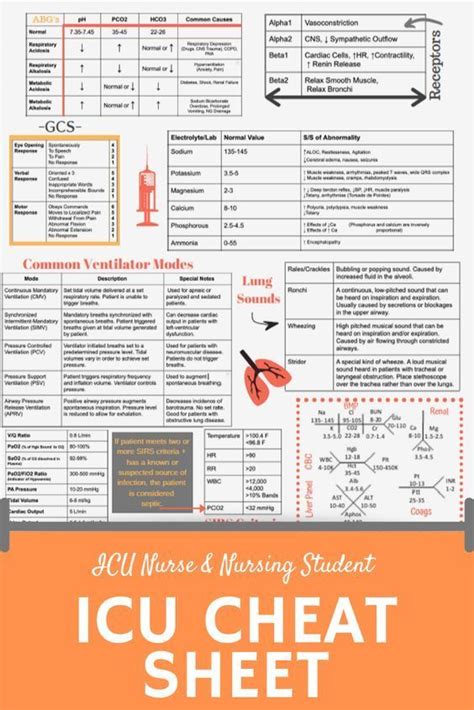 Icu Cheat Sheet In 2020 Icu Nursing Nursing School Notes Nurse
