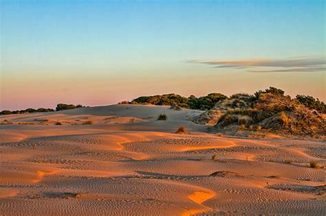 Do Ana Dunas Andalucia Country Roads Structures Dune National Parks