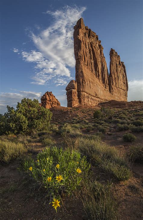 Check spelling or type a new query. The Desert Southwest: a Landscape Photographer's Dream ...
