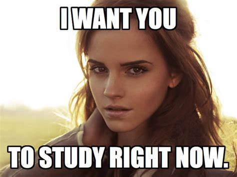 Emma Watson Wants You You Should Be Studying Know Your Meme