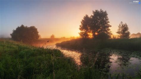 Meadow River Viewes Sunrise Trees Fog Nice Wallpapers 1920x1080