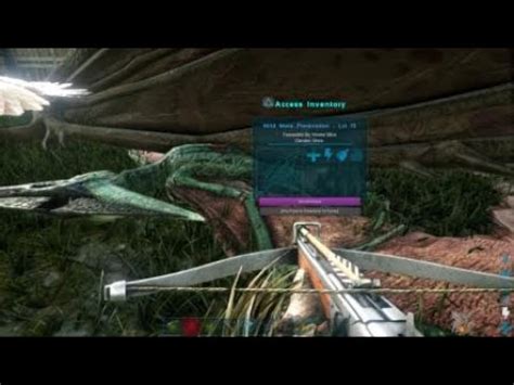 Pteranodon Tranquilizer Long Shot With Crossbow On Ark Survival Evolved