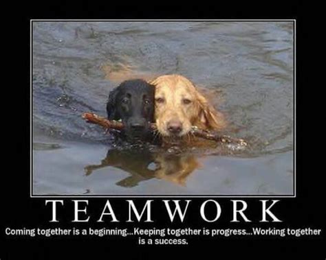 Teamwork Teamwork Quotes Work Quotes Funny Funny Motivational Quotes
