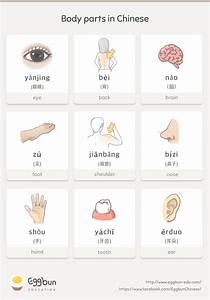 Body Parts In Mandarin Chinese Have You Got That Let S Learn More