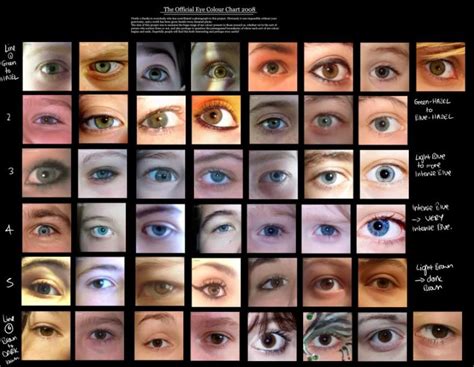 Human Eye Color Chart With Names Anatomy Pictures Gallery Eye Color