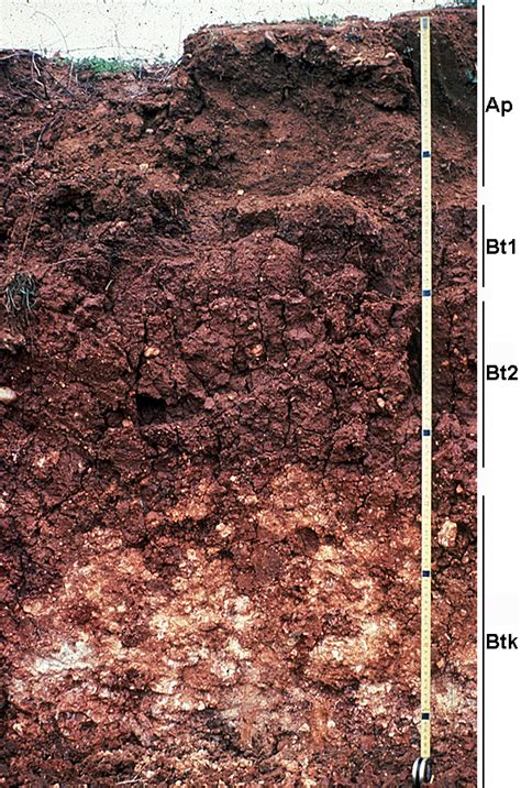 Edafologia Lección 1 El Perfil Del Suelo Y Sus Horizontes 2