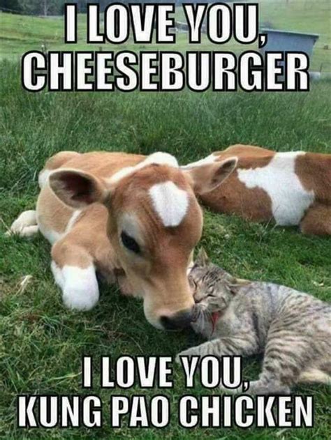 Funny Animal Picture Dump Of The Day 26 Pics