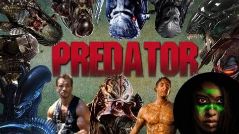 Predator Top All Predator Movies Ranked From Worst To Best Including Prey Thegeek Games