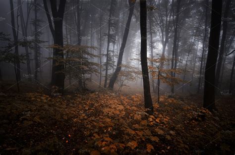 Autumn Forest With Dark Fog Featuring Dark Eerie And Spooky Nature