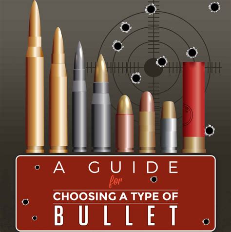 A Guide For Choosing A Type Of Bullet Infographic