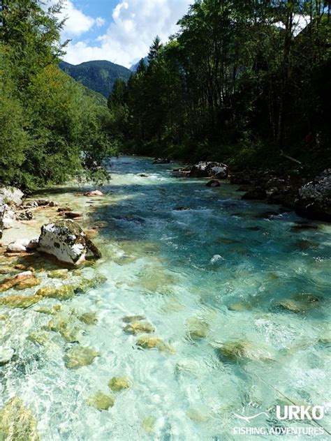 Soča Emerald River Fly Fishing In Slovenia Fly Dreamers
