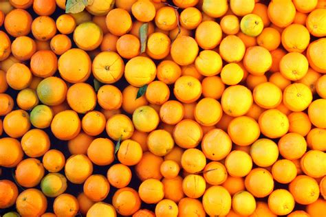 Free Images Nature Farm Fruit Sweet Ripe Orange Produce