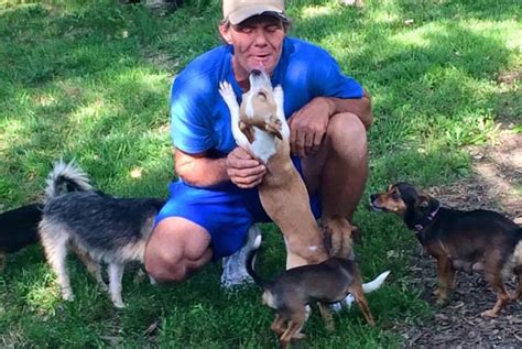Animal Loving Homeless Man Devotes Time And Energy To Caring For Stray Dogs