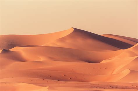 500 Sand Dune Pictures Hd Download Free Images On Unsplash