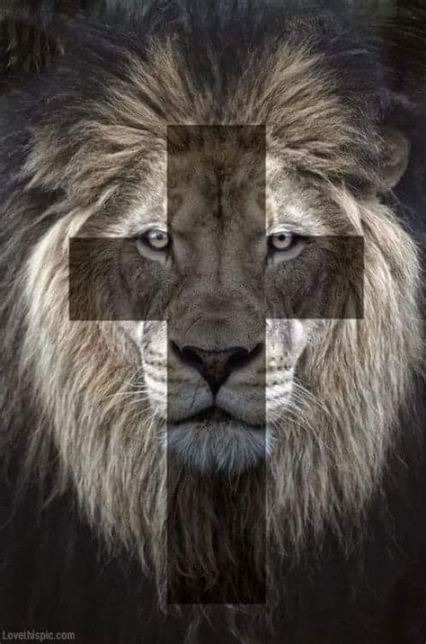 Cruz Leão De Judá Jesus Cristão Lion And Lamb Tribe Of Judah Lion