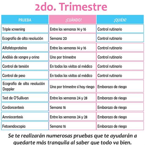 Mamá Nené Calendario de pruebas durante el embarazo