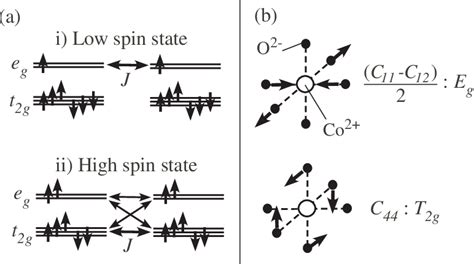 A Possible Spin State And The Exchange Interactions Of Co 2 On The
