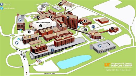 University Of Texas Medical Center University Choices