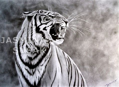My Tiger By Jasminasusak On Deviantart Tiger Artwork Tiger Graphite