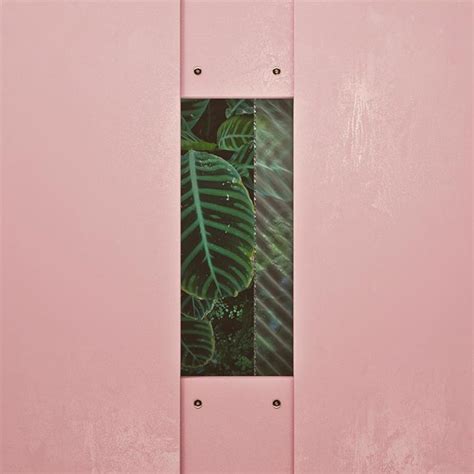 A Pink Wall With An Image Of A Leaf On It