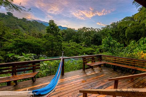 Finca Bellavista Treehouse Community Sustainable Treehouses In Costa Rica