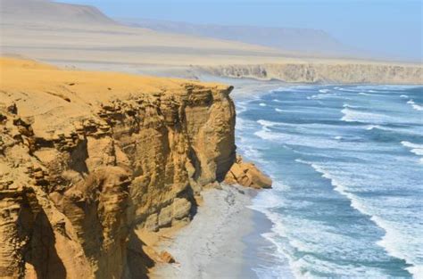 Paracas National Reserve Ica Region All You Need To Know Before You