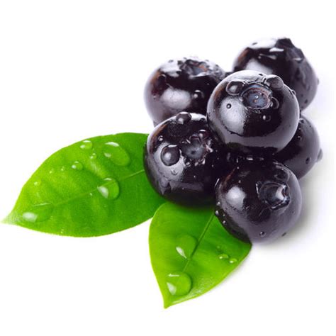 Blueberry Leaf Extract Nutrawiki
