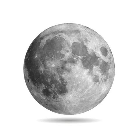 Moon Vector Realistic Moon Tattoo Realistic Drawings Moon Wall Decal