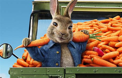Wallpaper Cartoon Carrot Rabbit 2020 Peter Rabbit