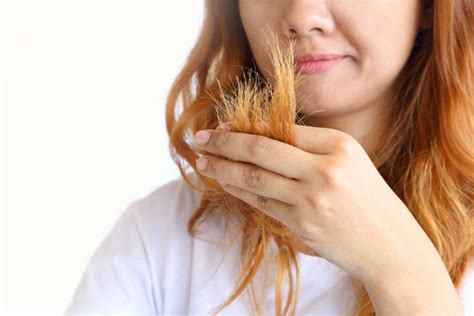 Hair With Split Ends Causes And Treatment Health Tenfold