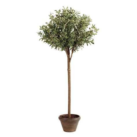 I'm hoping someone could help me with our olive tree. Potted Olive Tree | Potted olive tree, Faux olive tree ...