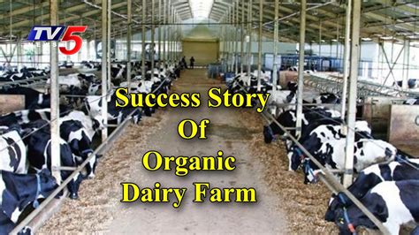 Dairy Farm Near Vijayawada Farm House