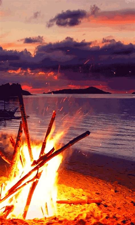 Download Beach Bonfire Live Wallpaper App Android By Edwardandrews