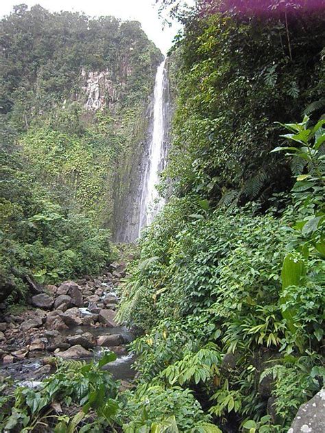 Carbet Falls Basse Terre 2018 All You Need To Know Before You Go