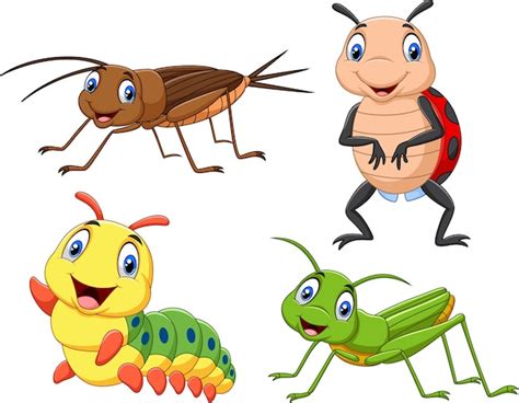 Conjunto De Colección De Insectos De Dibujos Animados Vector Premium