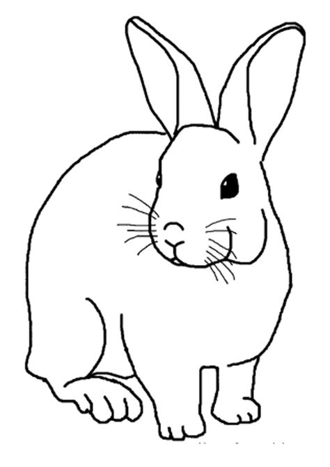 Coloring Pages Rabbit Coloring Page For Kids