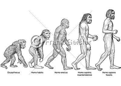 Unter dem titel „validierte grenzsteine der entwicklung hat r. MediDesign Frank Geisler: Bild: Evolution, Entwicklung des Menschen