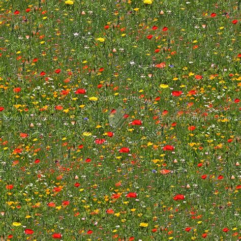 Flowery Fields Textures Seamless