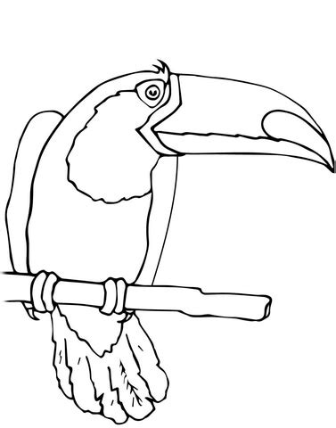 Toucan is a free chrome extension that helps you learn a language without even trying. Toucan Bird coloring page | SuperColoring.com