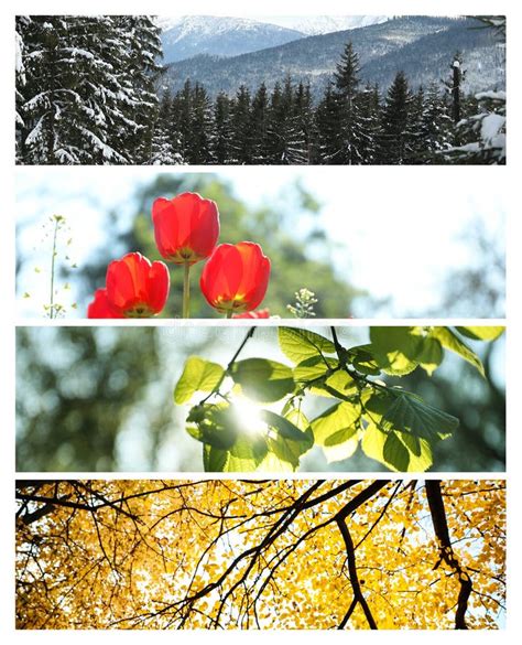 Photos Of Nature Four Seasons Collage Stock Image Image Of Cycle