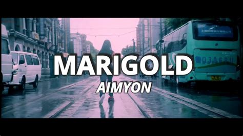 marigold aimyon lyrics
