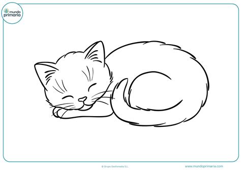 Dibujos De Gatos Para Imprimir Y Colorear Mundo Primaria D