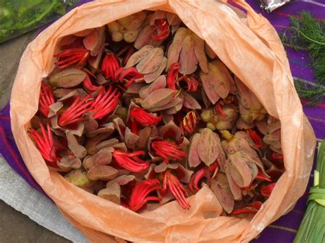 Flor de Manita (Hand Flower): can be used in dolls to represent the