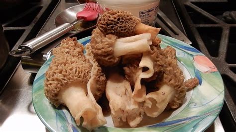 How To Cook Mushroom Morels Delicious Recipe Youtube
